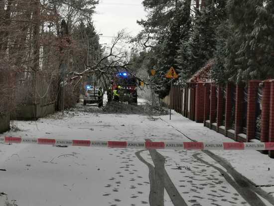 Powalone drzewa, zerwane linie, nagłe opady gradu i śniegu. Strażnicy interweniowali w związku z załamaniem pogody.